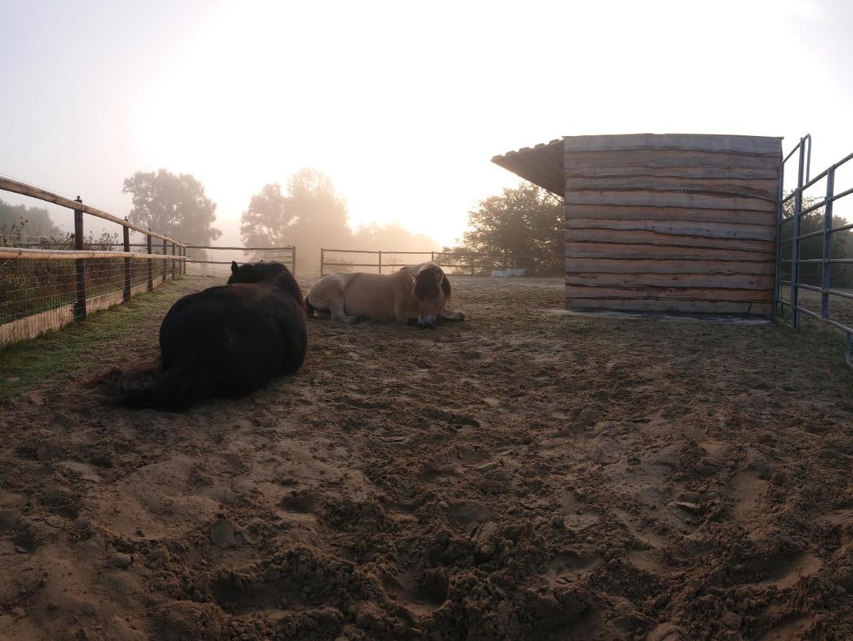 Belroki Ranch Daire Waldeck  Dış mekan fotoğraf